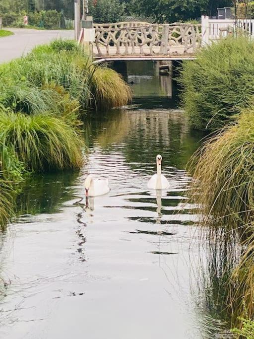 La Chaumiere Des 2 Cygnes Abbeville