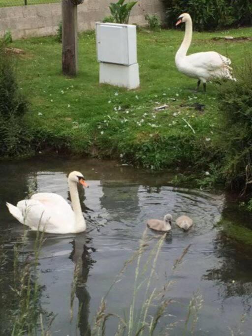 Holiday home La Chaumiere Des 2 Cygnes Abbeville
